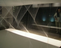 28_aedes-3.jpg